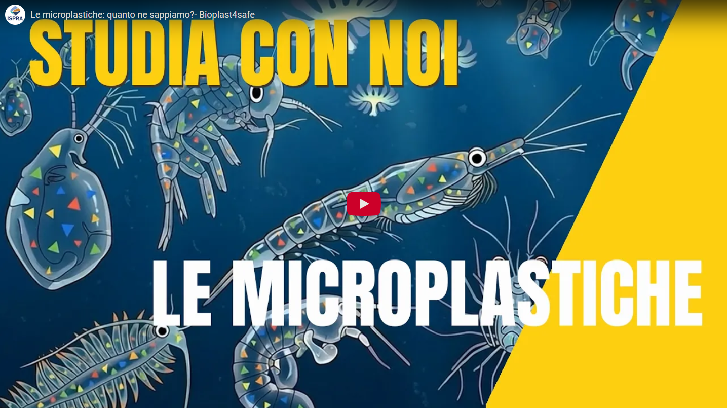 Video&nbsp;su Youtube "Le microplastiche: quanto ne sappiamo?”
